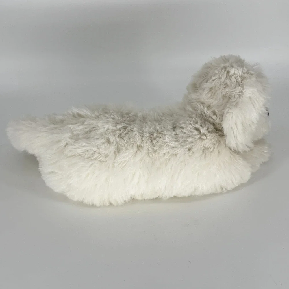 Douglas Marcelle Bichon Frise 22
